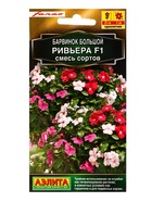 Семена цветов Барвинок Ривьера F1, смесь сортов  С. Farao Золотая серия, Ц/П,5 шт. - Фото 1