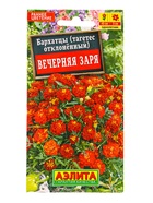 Семена цветов Бархатцы Вечерняя заря отклоненные , Ц/П,0,3 г (комплект 2 шт) - фото 61952265