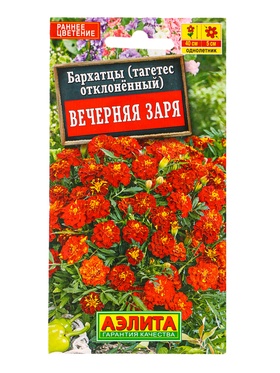 Семена цветов Бархатцы Вечерняя заря отклоненные , Ц/П,0,3 г