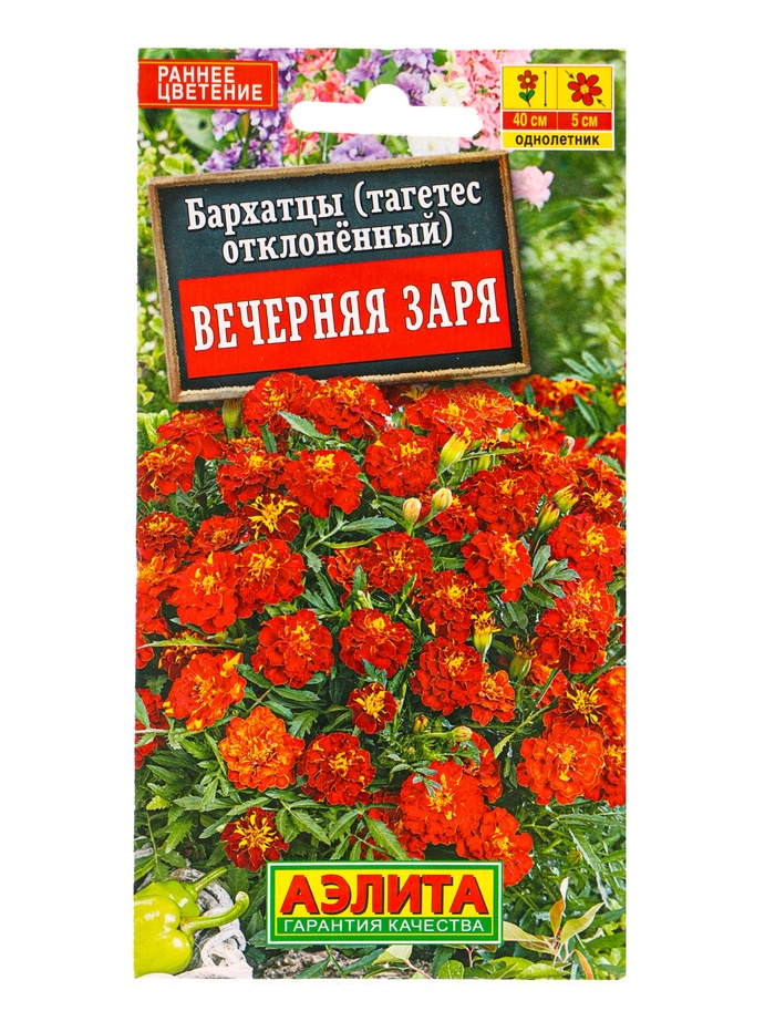 Семена цветов Бархатцы Вечерняя заря отклоненные , Ц/П,0,3 г