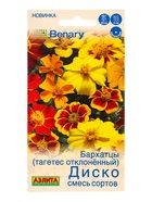 Семена цветов Бархатцы Диско отклоненные, смесь сортов  Спецсерия Benary, Ц/П,7 шт. - фото 809345066