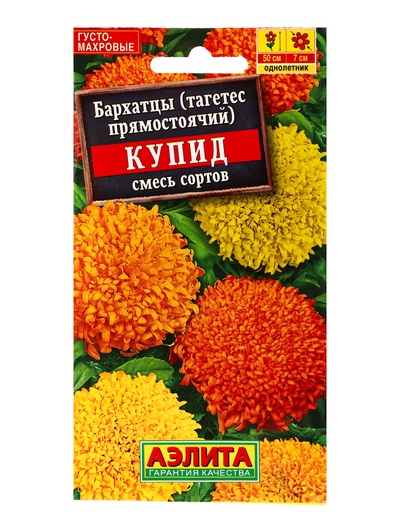 Семена цветов Бархатцы «Купид» хризантемовидные, смесь, 0.1 г