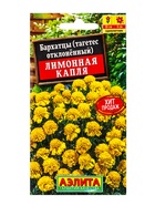 Семена цветов Бархатцы Лимонная капля отклоненные , Ц/П,0,3 г (комплект 3 шт) - фото 61952295