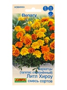 Семена цветов Бархатцы Литл хироу отклоненные, смесь сортов  Спецсерия Benary, Ц/П,10 шт. - фото 809345106
