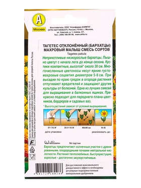 Семена цветов Бархатцы Махровый малыш отклоненные, смесь сортов  Золотая серия, Ц/П,0,1 г (комплект 2 шт)