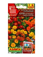 Семена цветов Бархатцы Хэппи карликовые, смесь сортов  С. Floranova Цветущий балкон, Ц/П,7 шт. 10945 - фото 61952329