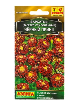 Семена цветов Бархатцы Черный принц отклоненные  Золотая серия, Ц/П,0,3 г
