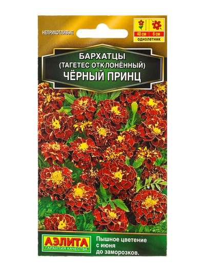 Семена цветов Бархатцы «Черный принц» отклоненные, 0.3 г
