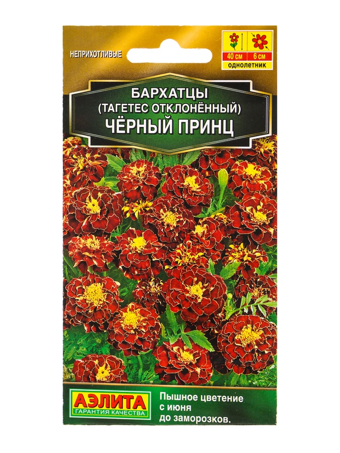 Семена цветов Бархатцы «Черный принц» отклоненные, 0.3 г - Фото 1
