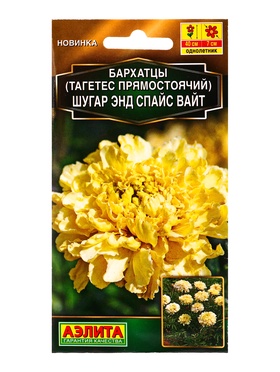 Семена цветов Бархатцы Шугар энд спайс вайт прямостоячие  Золотая серия, Ц/П,10 шт.