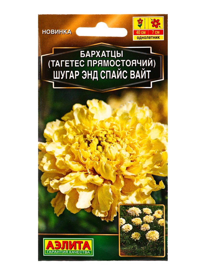 Семена цветов Бархатцы Шугар энд спайс вайт прямостоячие  Золотая серия, Ц/П,10 шт. - Фото 1