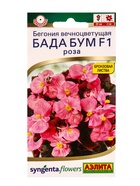 Семена цветов Бегония Бада бум F1 роза  (драже в пробирке) Спецсерия Syngenta, Ц/П,5 шт. - Фото 1