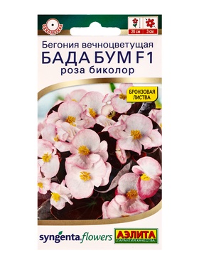 Семена цветов Бегония Бада бум F1 роза биколор  (драже в пробирке) Спецсерия Syngenta, Ц/П,5 шт. 109 (комплект 2 шт)