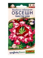 Семена цветов Вербена Обсешн твистер ред  Спецсерия Syngenta, Ц/П,5 шт. 10945407