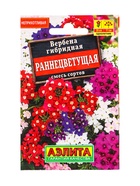 Семена цветов Вербена гибридная «Раннецветущая» смесь, 30 шт. - Фото 1
