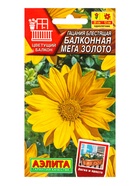 Семена цветов Гацания Балконная мега золото  Цветущий балкон, Ц/П,4 шт. - фото 809345204
