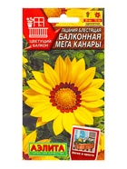 Семена цветов Гацания Балконная мега канары  Цветущий балкон, Ц/П,4 шт. - фото 61952359