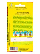 Семена цветов Гацания Балконная мега канары  Цветущий балкон, Ц/П,4 шт. - фото 61952360