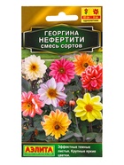Семена цветов Георгина Нефертити, смесь сортов  Золотая серия, Ц/П,0,3 г 10945443