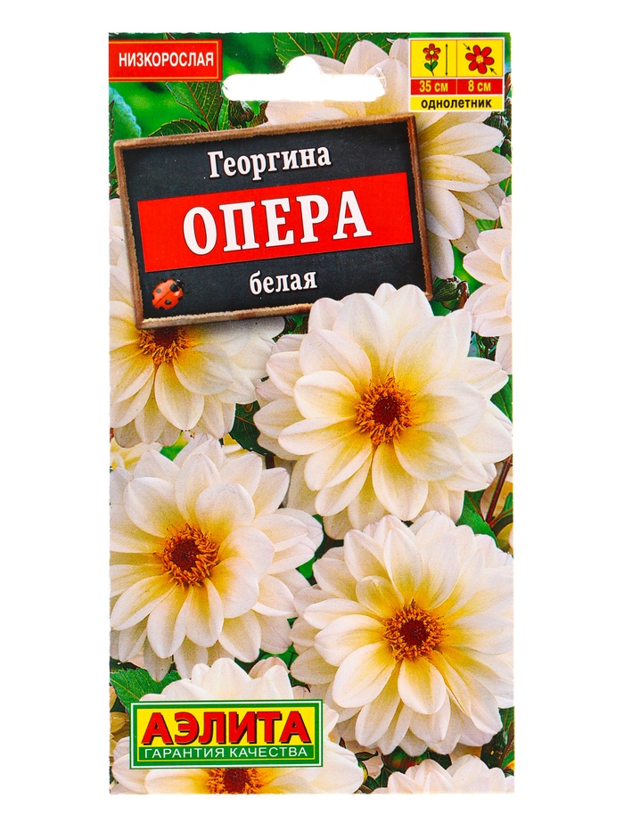 Семена цветов Георгина Опера белая , Ц/П,7 шт. - Фото 1