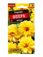 Семена цветов Георгина Опера желтая , Ц/П,7 шт. - фото 61952384