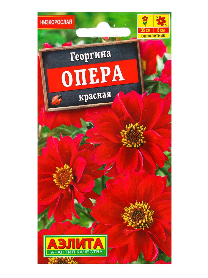 Семена цветов Георгина «Опера» красная, 7 шт. - Фото 1