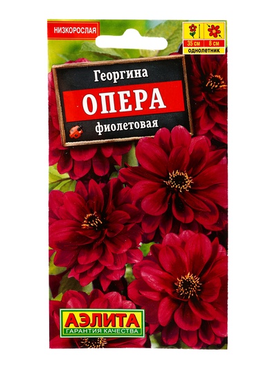 Семена цветов Георгина «Опера», фиолетовая, 7 шт., «АЭЛИТА»