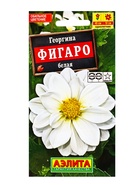 Семена цветов Георгина Фигаро махровая белая , Ц/П,7 шт. - фото 809345254
