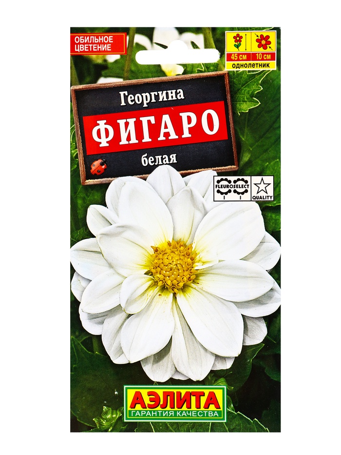 Семена цветов Георгина Фигаро махровая белая , Ц/П,7 шт. - Фото 1