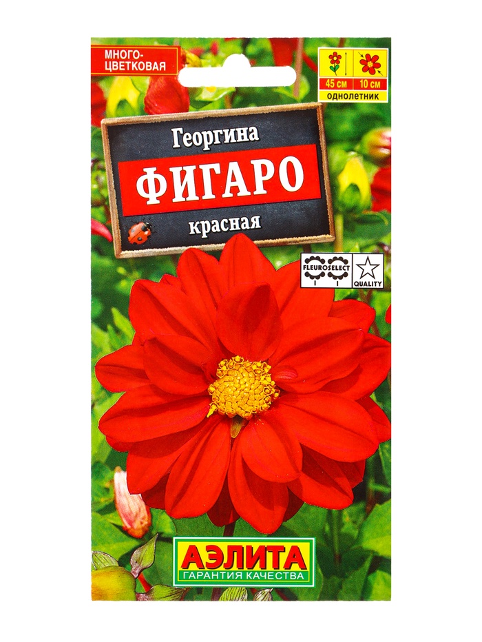 Семена цветов Георгина Фигаро махровая красная , Ц/П,7 шт. - Фото 1