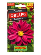 Семена цветов Георгина Фигаро махровая фиолетовая , Ц/П,7 шт. - фото 61952400