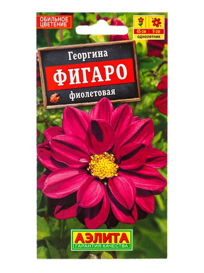 Семена цветов Георгина «Фигаро» махровая, фиолетовая, 7 шт.