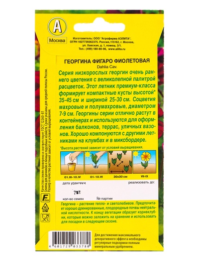 Семена цветов Георгина Фигаро махровая фиолетовая , Ц/П,7 шт.
