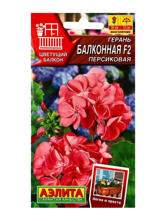 Семена цветов Герань Балконная персиковая F2 Мн Цветущий балкон, Ц/П,5 шт. - Фото 1