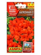 Семена цветов Герань Балконная скарлет F2 Мн Цветущий балкон, Ц/П,5 шт. - фото 809345266