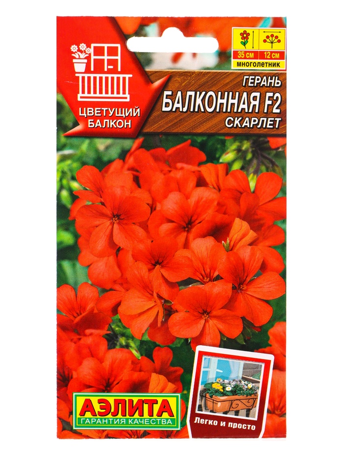 Семена цветов Герань Балконная скарлет F2 Мн Цветущий балкон, Ц/П,5 шт. - Фото 1