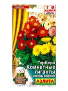 Семена цветов Гербера Комнатные гиганты, смесь сортов Мн Зимний сад, Ц/П,0,04 г - фото 61952410