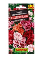 Семена цветов Годеция крупноцветковая «Азалиецветковая» махровая, смесь, 0.05 г - Фото 1