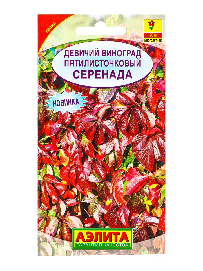 Семена Девичий виноград «Серенада», многолетник, 10 шт., «АЭЛИТА»