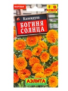 Семена цветов Календула Богиня солнца , Ц/П,0,3 г (комплект 2 шт) - фото 61952432