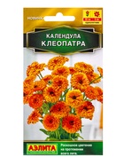 Семена цветов Календула Клеопатра  Золотая серия, Ц/П,0,3 г (комплект 2 шт) - фото 61952438