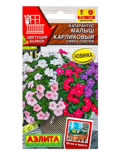 Семена цветов Катарантус Малыш карликовый, смесь сортов  Цветущий балкон, Ц/П,0,05 г