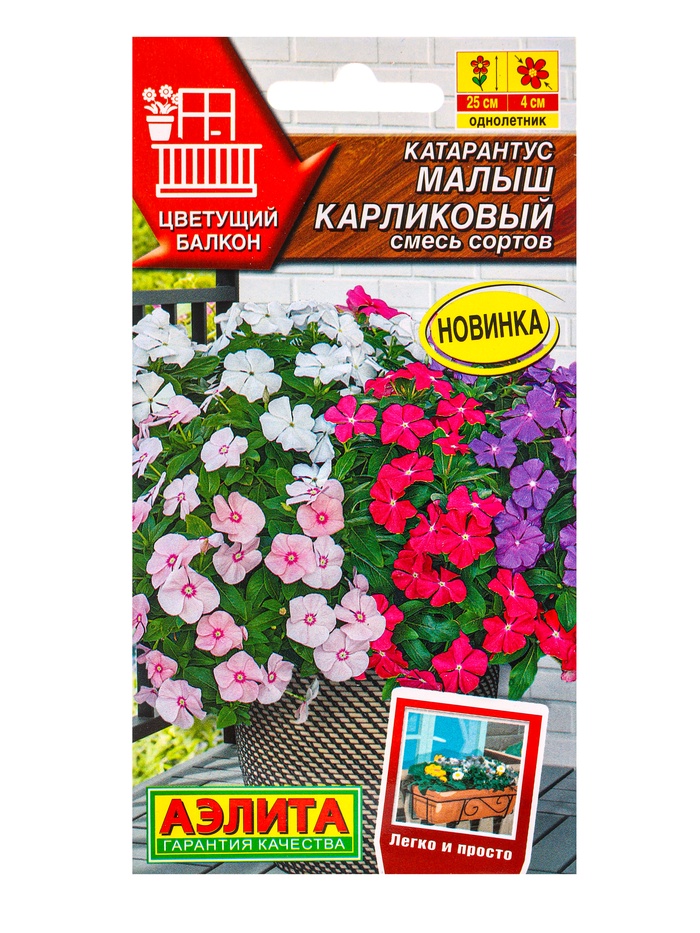 Семена цветов Катарантус Малыш карликовый, смесь сортов  Цветущий балкон, Ц/П,0,05 г - Фото 1