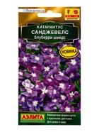 Семена цветов Катарантус Санджевелс блуберри шейдс  С. Floranova Золотая серия, Ц/П,7 шт. - Фото 1