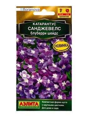 Семена цветов Катарантус Санджевелс блуберри шейдс  С. Floranova Золотая серия, Ц/П,7 шт.