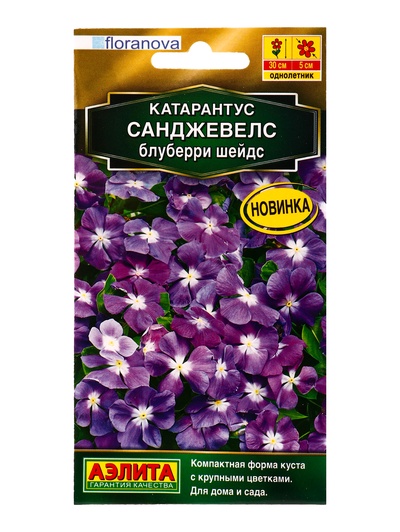 Семена цветов Катарантус Санджевелс блуберри шейдс  С. Floranova Золотая серия, Ц/П,7 шт.