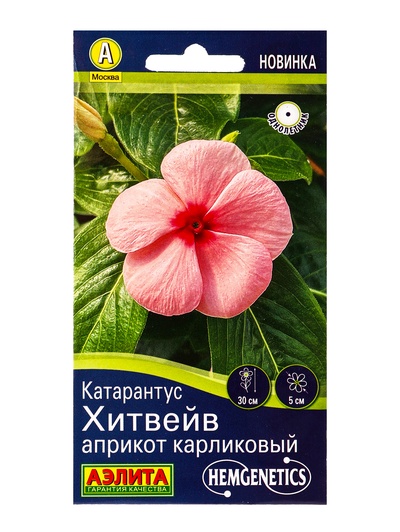 Семена цветов Катарантус Хитвейв априкот карликовый Спецсерия Hem Genetics, Ц/П,5 шт.