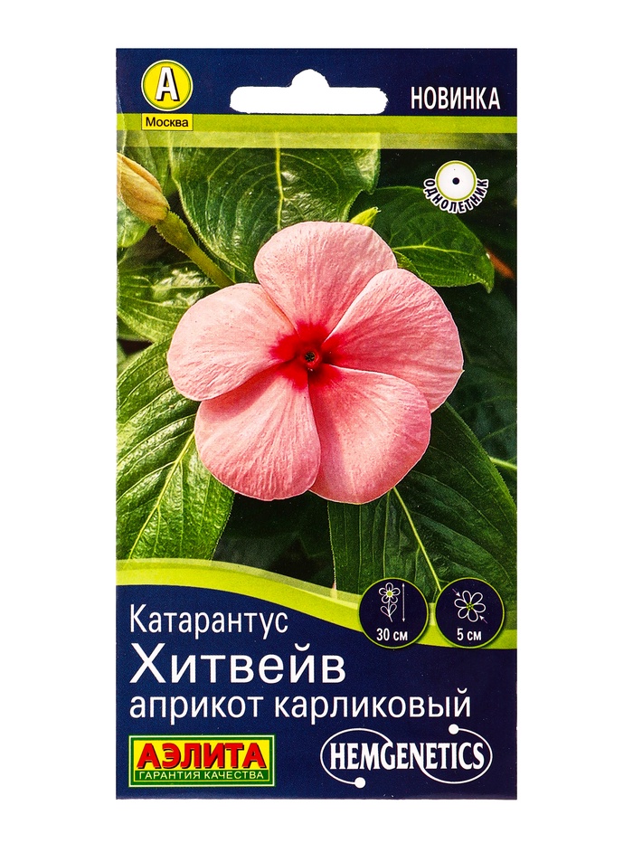 Семена цветов Катарантус Хитвейв априкот карликовый  Спецсерия Hem Genetics, Ц/П,5 шт. - Фото 1