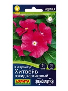 Семена цветов Катарантус Хитвейв орхид карликовый  Спецсерия Hem Genetics, Ц/П,5 шт. - фото 61952454