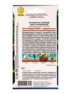 Семена цветов Катарантус Хитвейв пинк карликовый  Спецсерия Hem Genetics, Ц/П,5 шт. - Фото 2